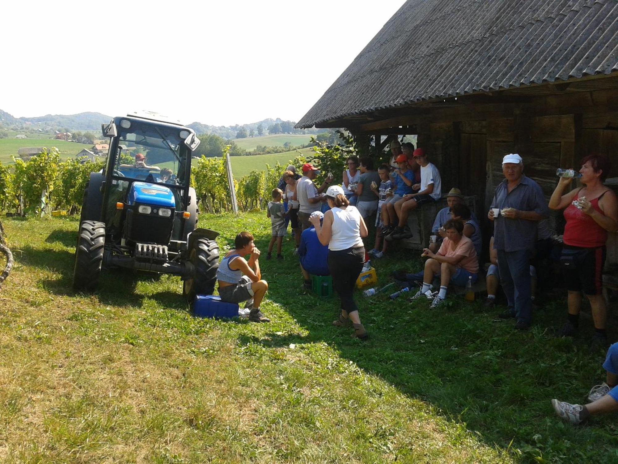 הוילה Sevnica Grobelnik Tourist Farm מראה חיצוני תמונה